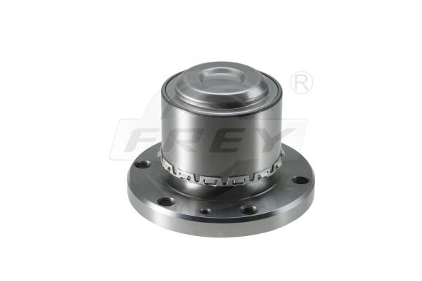 Frey 765701101 Wheel hub with bearing 765701101: Buy near me at 2407.PL in Poland at an Affordable price!