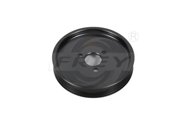 Frey 713402101 Power Steering Pulley 713402101: Buy near me in Poland at 2407.PL - Good price!