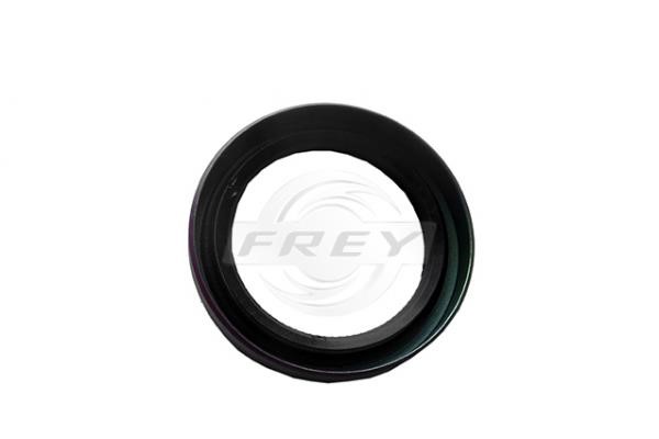 Frey 895500701 Crankshaft oil seal 895500701: Buy near me at 2407.PL in Poland at an Affordable price!