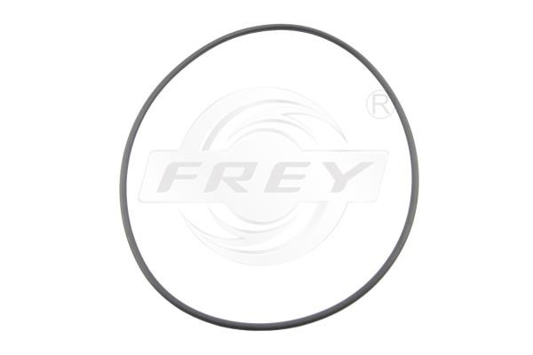 Frey 800511601 Кольцо уплотнительное пробки маслосливной 800511601: Отличная цена - Купить в Польше на 2407.PL!