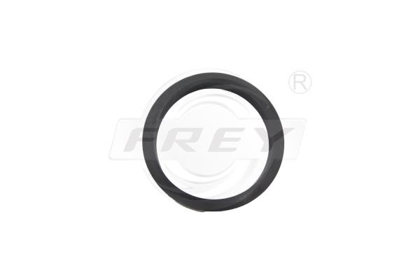 Frey 795511201 Gasket, timing case cover 795511201: Buy near me in Poland at 2407.PL - Good price!