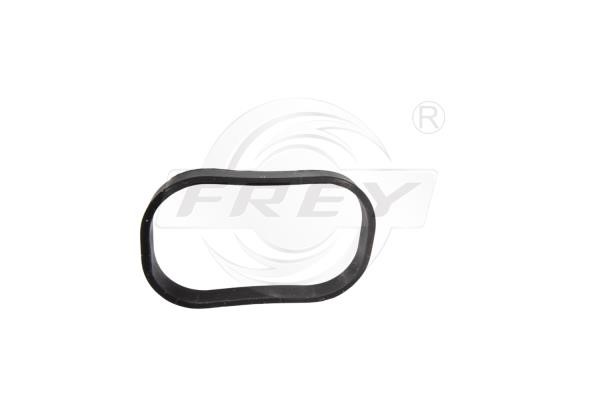 Frey 800703401 Gasket, intake manifold 800703401: Buy near me in Poland at 2407.PL - Good price!