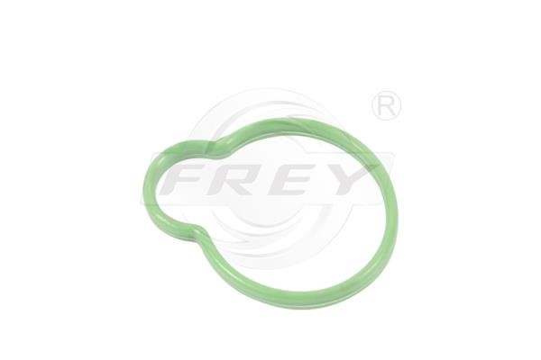 Frey 700601701 Прокладка впускного коллектора 700601701: Отличная цена - Купить в Польше на 2407.PL!