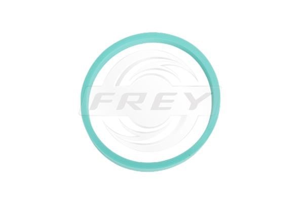 Frey 800510001 Прокладка впускного колектора 800510001: Приваблива ціна - Купити у Польщі на 2407.PL!