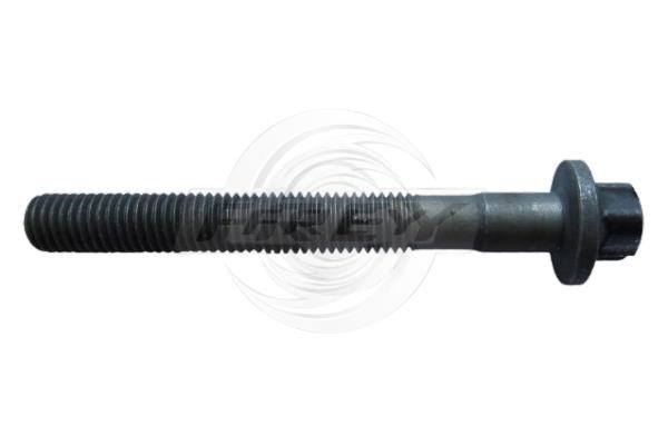 Frey 701000204 Cylinder head bolt (cylinder head) 701000204: Buy near me in Poland at 2407.PL - Good price!
