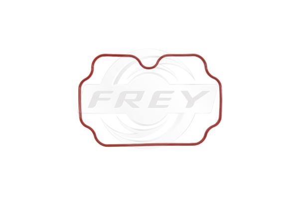 Frey 800603301 Gasket, intake manifold 800603301: Buy near me in Poland at 2407.PL - Good price!