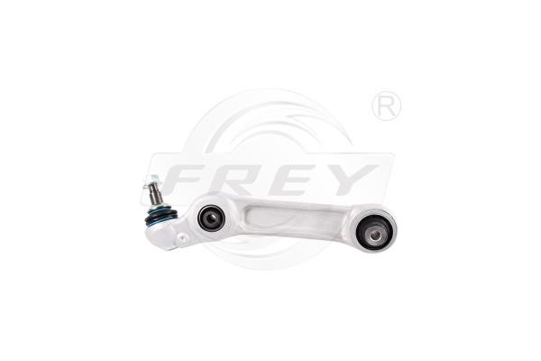 Frey 850108801 Track Control Arm 850108801: Buy near me in Poland at 2407.PL - Good price!