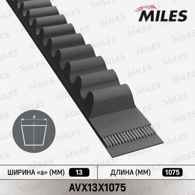 Miles AVX13X1075 V-belt AVX13X1075: Buy near me in Poland at 2407.PL - Good price!