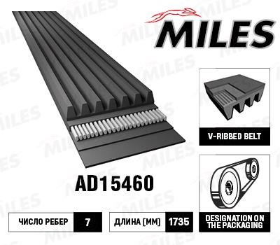 Miles AD15460 V-Ribbed Belt AD15460: Buy near me in Poland at 2407.PL - Good price!