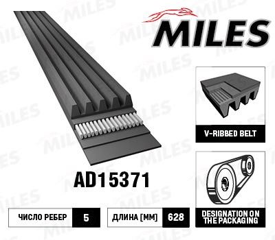 Miles AD15371 V-Ribbed Belt AD15371: Buy near me in Poland at 2407.PL - Good price!