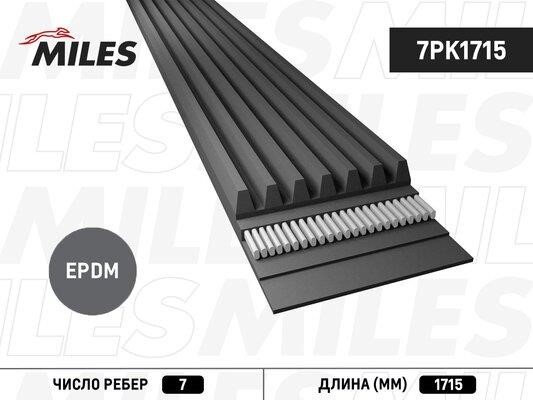 Miles 7PK1715 V-Ribbed Belt 7PK1715: Buy near me in Poland at 2407.PL - Good price!