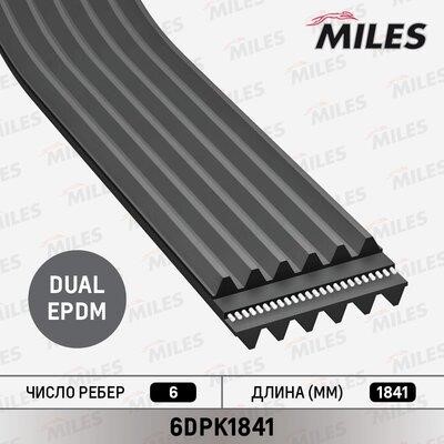 Miles 6DPK1841 V-Ribbed Belt 6DPK1841: Buy near me in Poland at 2407.PL - Good price!