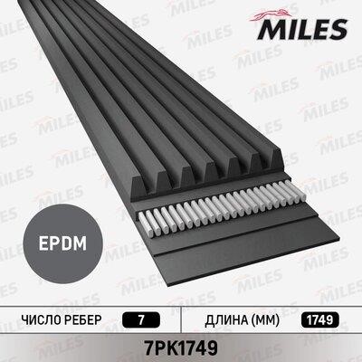 Miles 7PK1749 V-Ribbed Belt 7PK1749: Buy near me in Poland at 2407.PL - Good price!