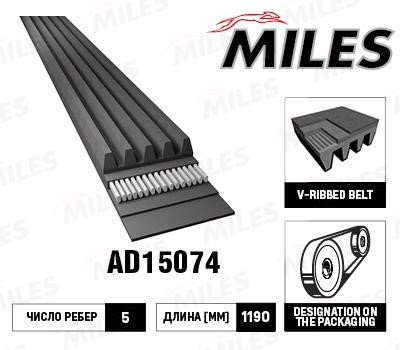 Miles AD15074 V-Ribbed Belt AD15074: Buy near me in Poland at 2407.PL - Good price!