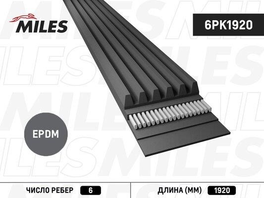 Miles 6PK1920 V-Ribbed Belt 6PK1920: Buy near me at 2407.PL in Poland at an Affordable price!