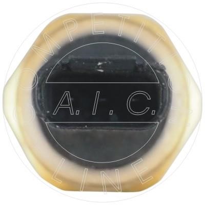 Buy AIC Germany 56900 at a low price in Poland!