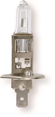 Berner 98180[A] Лампа розжарювання, основна фара 98180A: Приваблива ціна - Купити у Польщі на 2407.PL!