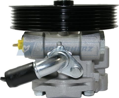 Hydraulic Pump, steering system Motorherz P1025HG