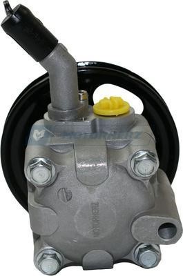 Hydraulic Pump, steering system Motorherz P1044HG