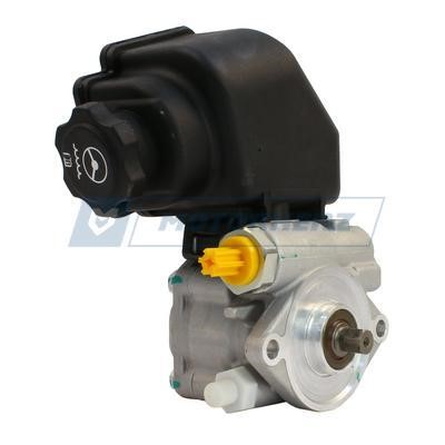 Motorherz P1606HG Hydraulic Pump, steering system P1606HG: Buy near me in Poland at 2407.PL - Good price!