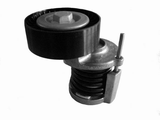 Coram CT1012 Deflection/guide pulley, v-ribbed belt CT1012: Buy near me in Poland at 2407.PL - Good price!