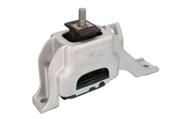 Reinhoch RH11-3074 Engine mount RH113074: Buy near me in Poland at 2407.PL - Good price!