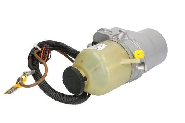 Treezer TRE30039 Hydraulic Pump, steering system TRE30039: Buy near me in Poland at 2407.PL - Good price!