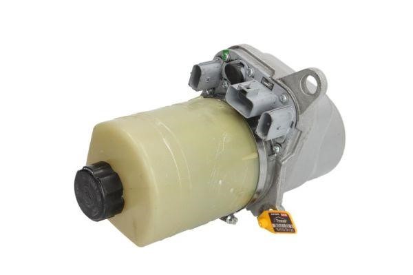 Treezer TRE30001 Hydraulic Pump, steering system TRE30001: Buy near me in Poland at 2407.PL - Good price!
