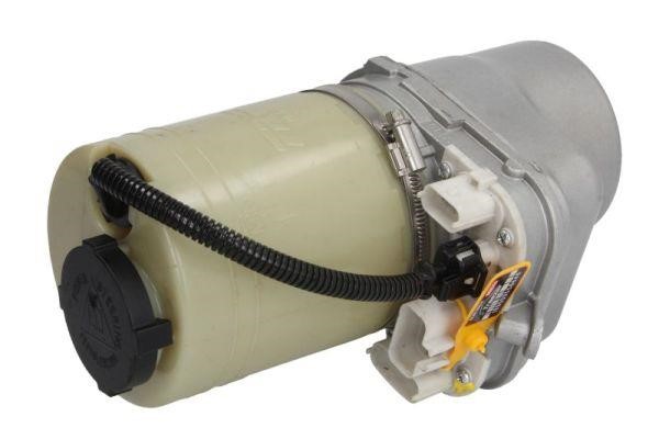 Treezer TRE30061 Hydraulic Pump, steering system TRE30061: Buy near me in Poland at 2407.PL - Good price!