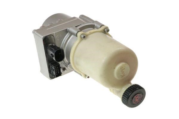 Treezer TRE30031 Hydraulic Pump, steering system TRE30031: Buy near me in Poland at 2407.PL - Good price!