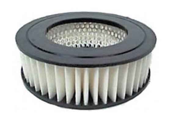 Azumi Filtration Product A21135 Повітряний фільтр A21135: Купити у Польщі - Добра ціна на 2407.PL!