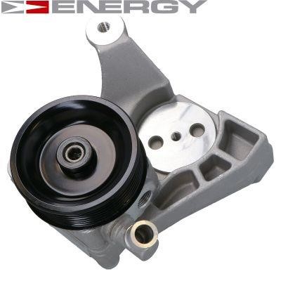 Energy PW690149 Hydraulic Pump, steering system PW690149: Buy near me in Poland at 2407.PL - Good price!
