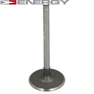 Energy 90220119 Intake valve 90220119: Buy near me at 2407.PL in Poland at an Affordable price!