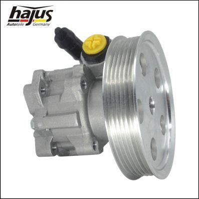 Hajus 4221023 Hydraulic Pump, steering system 4221023: Buy near me in Poland at 2407.PL - Good price!