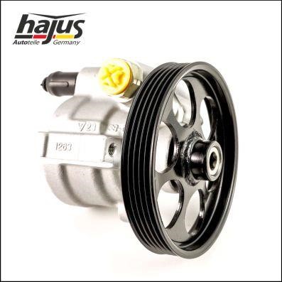 Hajus 4221057 Hydraulic Pump, steering system 4221057: Buy near me in Poland at 2407.PL - Good price!