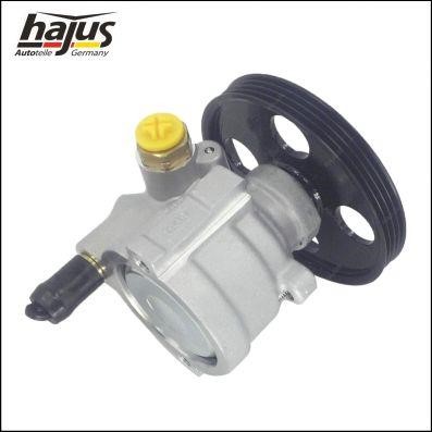 Hajus 4221048 Hydraulic Pump, steering system 4221048: Buy near me in Poland at 2407.PL - Good price!
