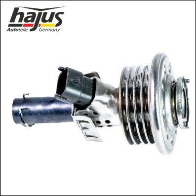 Hajus 1311104 Injector 1311104: Buy near me at 2407.PL in Poland at an Affordable price!