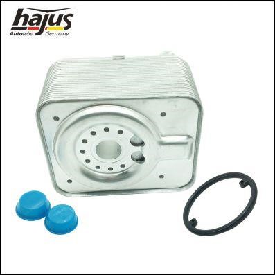 Buy Hajus 1211123 at a low price in Poland!