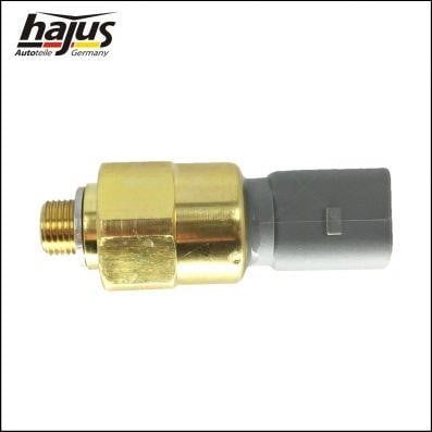 Hajus 1151119 Oil Pressure Switch 1151119: Buy near me in Poland at 2407.PL - Good price!