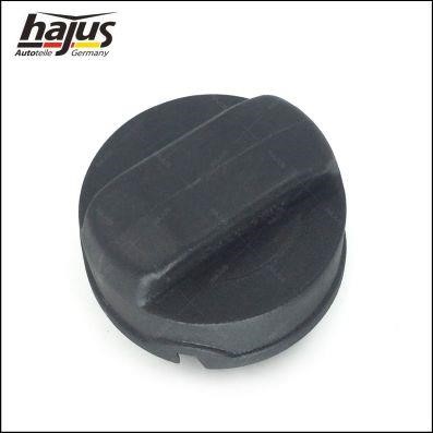 Hajus 1271025 Fuel Door Assembly 1271025: Buy near me in Poland at 2407.PL - Good price!