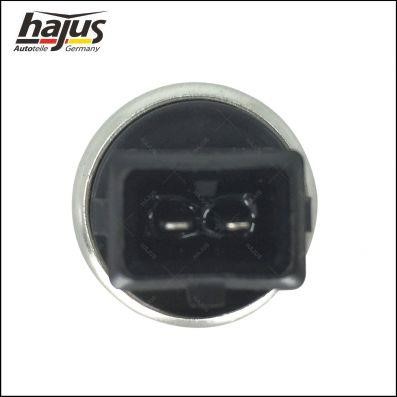 Buy Hajus 1211152 – good price at 2407.PL!