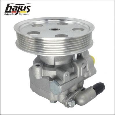 Hajus 4221024 Hydraulic Pump, steering system 4221024: Buy near me at 2407.PL in Poland at an Affordable price!
