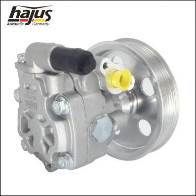 Hydraulic Pump, steering system Hajus 4221024