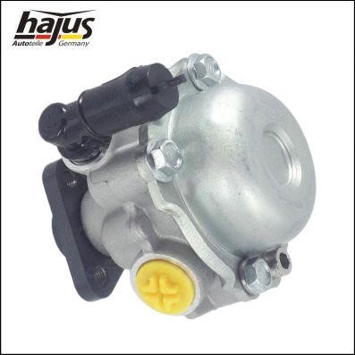 Hajus 4221040 Hydraulic Pump, steering system 4221040: Buy near me in Poland at 2407.PL - Good price!