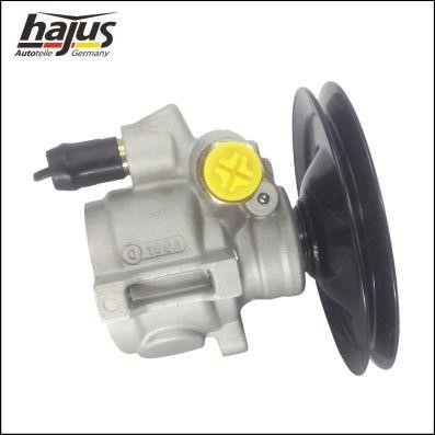 Hajus 4221044 Hydraulic Pump, steering system 4221044: Buy near me in Poland at 2407.PL - Good price!