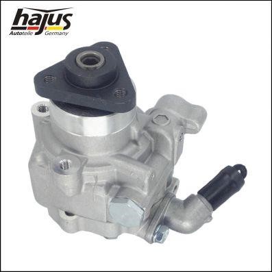 Hydraulic Pump, steering system Hajus 4221021