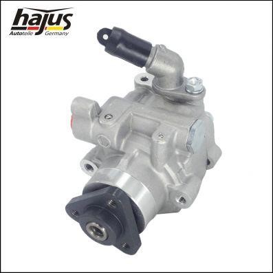 Hajus 4221021 Hydraulic Pump, steering system 4221021: Buy near me in Poland at 2407.PL - Good price!