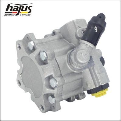 Hajus 4221038 Hydraulic Pump, steering system 4221038: Buy near me in Poland at 2407.PL - Good price!
