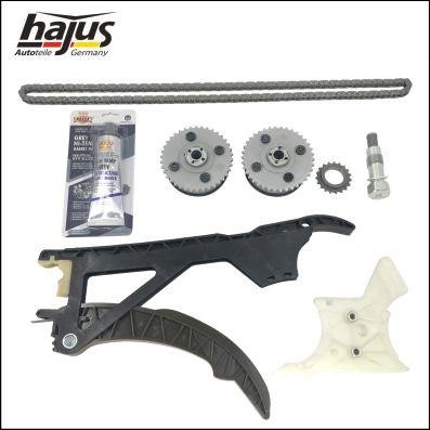 Hajus 1151417 Timing chain kit 1151417: Buy near me in Poland at 2407.PL - Good price!