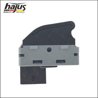 Buy Hajus 9191151 at a low price in Poland!